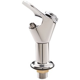 Polished stainless steel push button bubbler valve